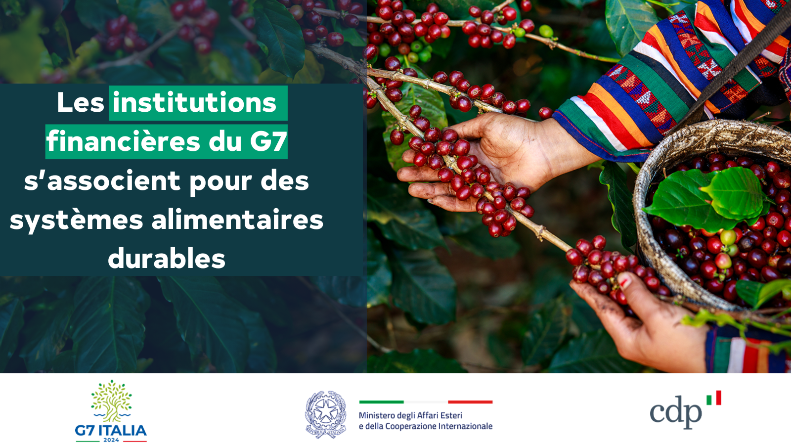 Les banques publiques de développement (BPD) et les institutions financières de développement (IFD) du Groupe des Sept (G7) unissent leurs forces pour renforcer la sécurité alimentaire 