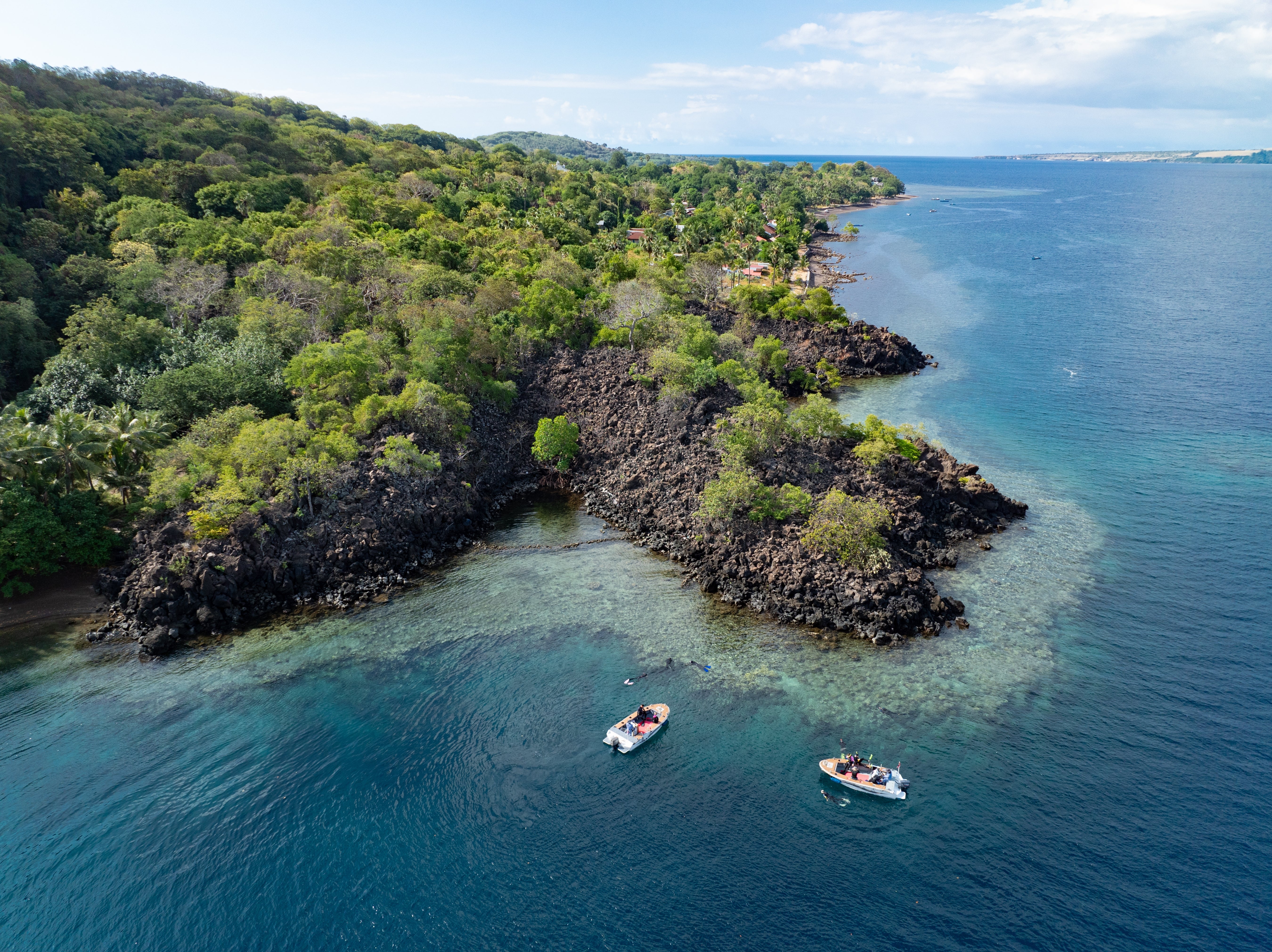 ocean with boats and coastal greenery