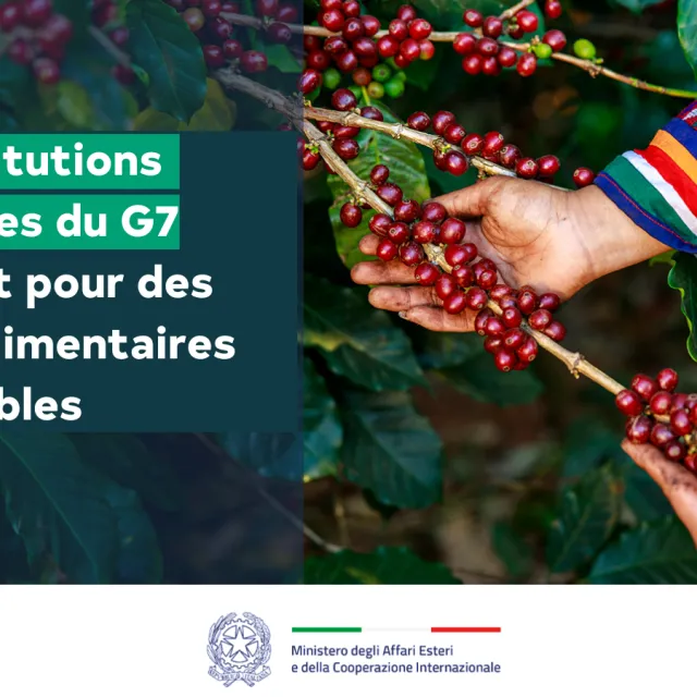 Les banques publiques de développement (BPD) et les institutions financières de développement (IFD) du Groupe des Sept (G7) unissent leurs forces pour renforcer la sécurité alimentaire 