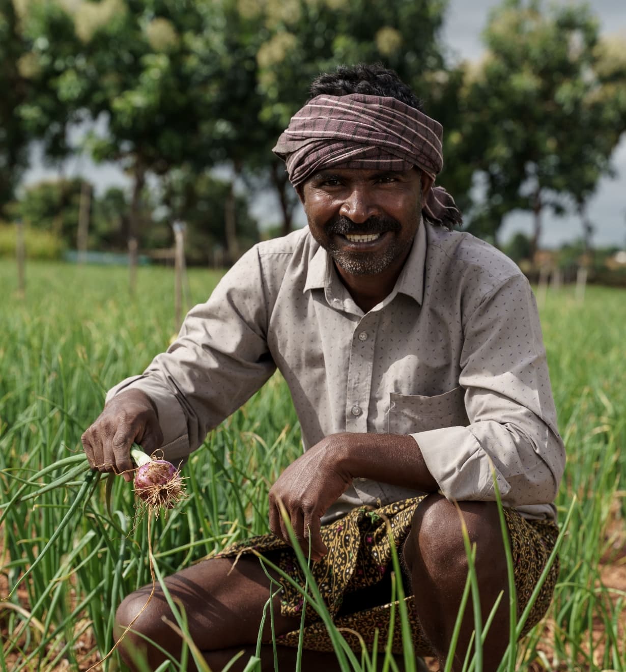 Among the outcomes of the community development programme, almost 250 farmers have acquired new skills and knowledge on organic farming and livestock rearing in India. Photo courtesy of Climate Investor One