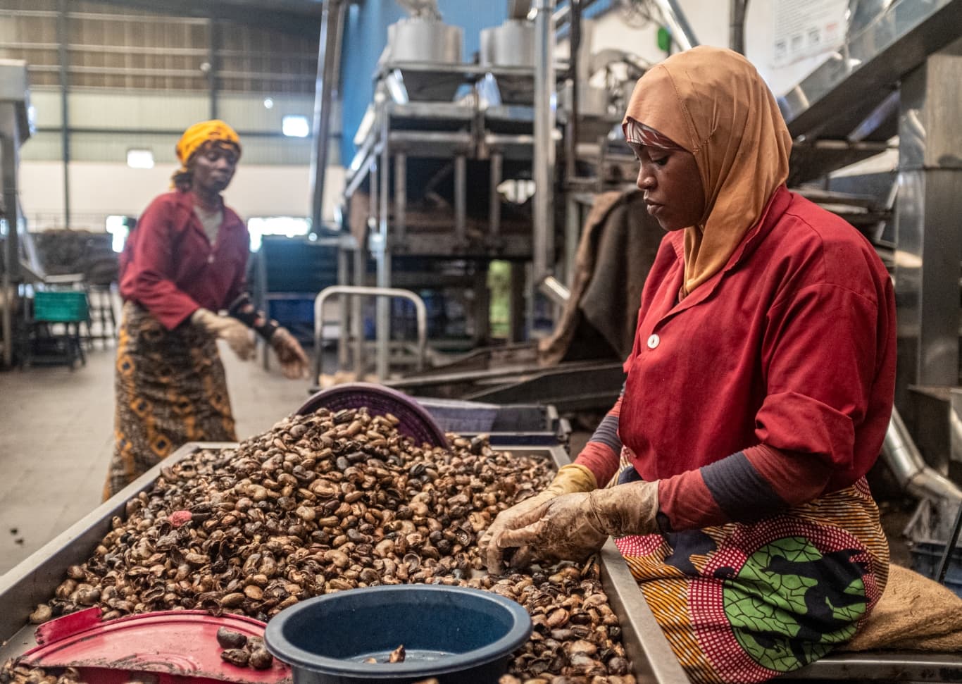 Two women shelling cashews in a factory