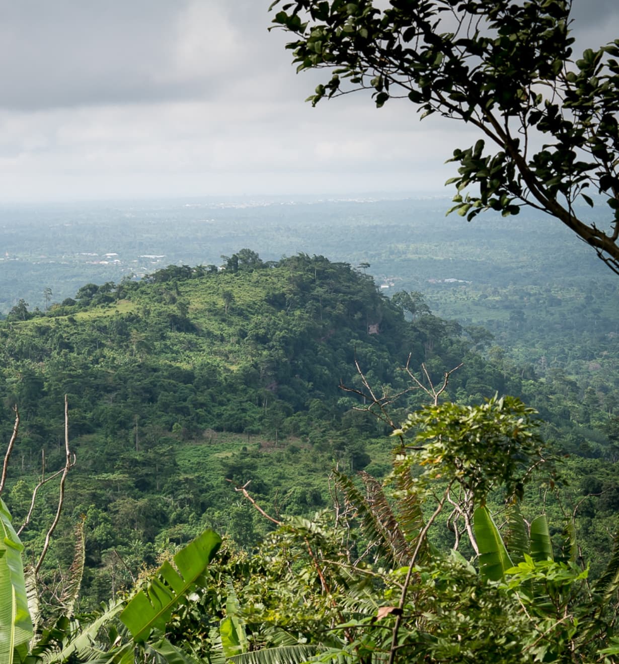 Panorama de l’Afrique de l’Ouest. Photo gracieusement fournie par Miro Forestry