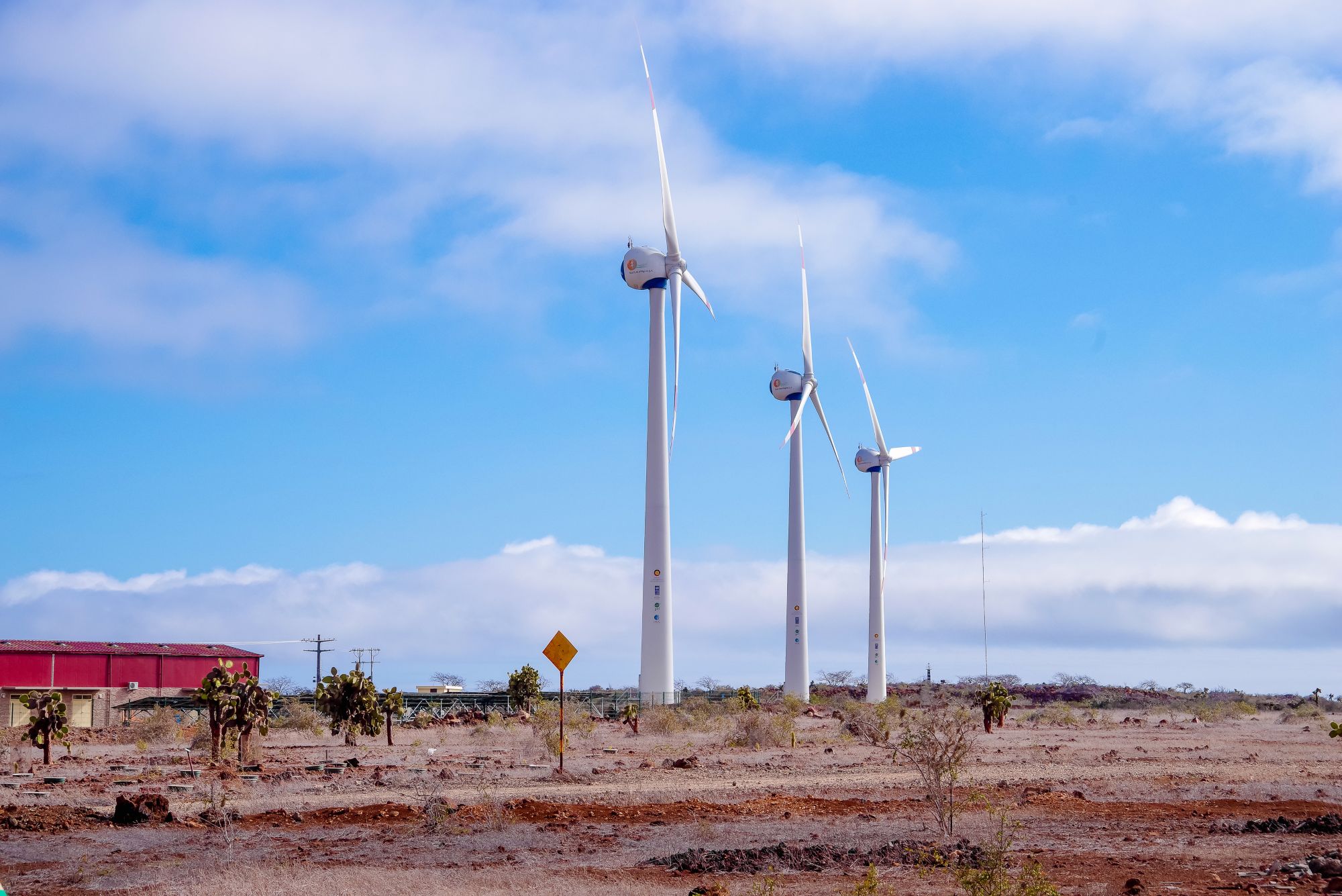 Three wind turbines in a field with cacti