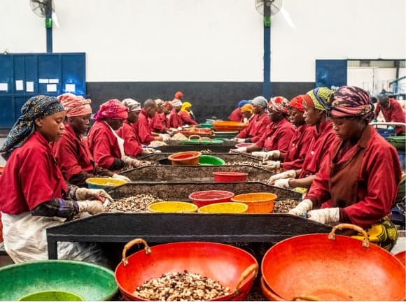 Women working in a cashew-processing factory