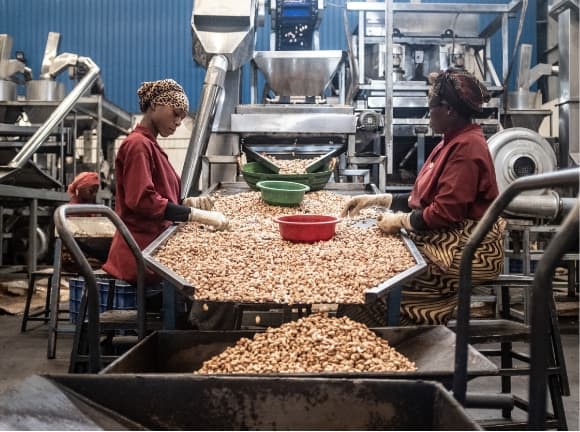 Two women processing cashews in a factory