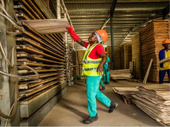 Workers in a factory where plywood is stored