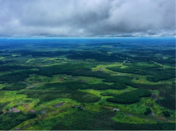 An aerial view of a tropical landscape with forests and wetlands